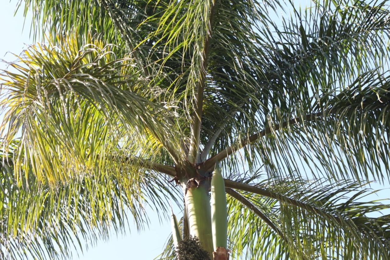 Pousada Maria Bonita Macacos  Luaran gambar